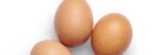 cropped eggs.jpg